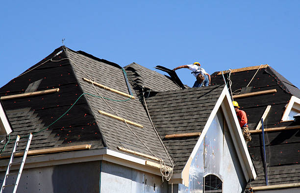 Best Roof Gutter Cleaning  in Pearl River, MS