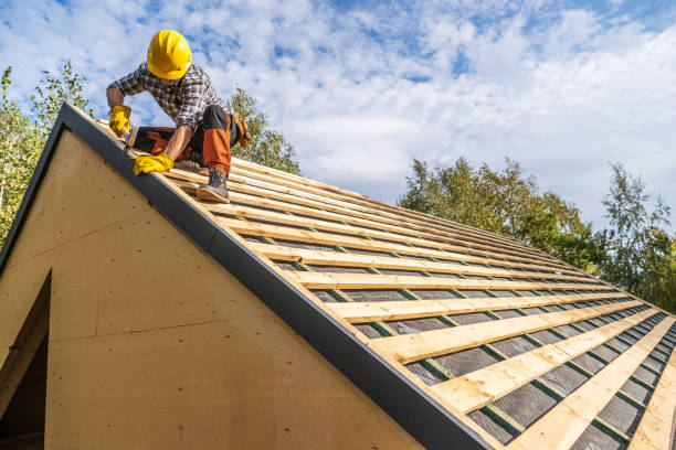 Best Roof Maintenance Services  in Pearl River, MS